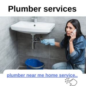 Plumber Service