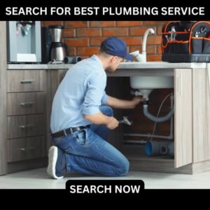 Top Tampa Plumbers