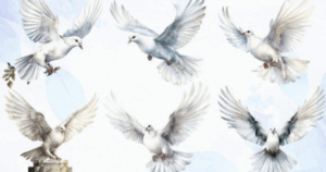 discover your message of love from Jesus