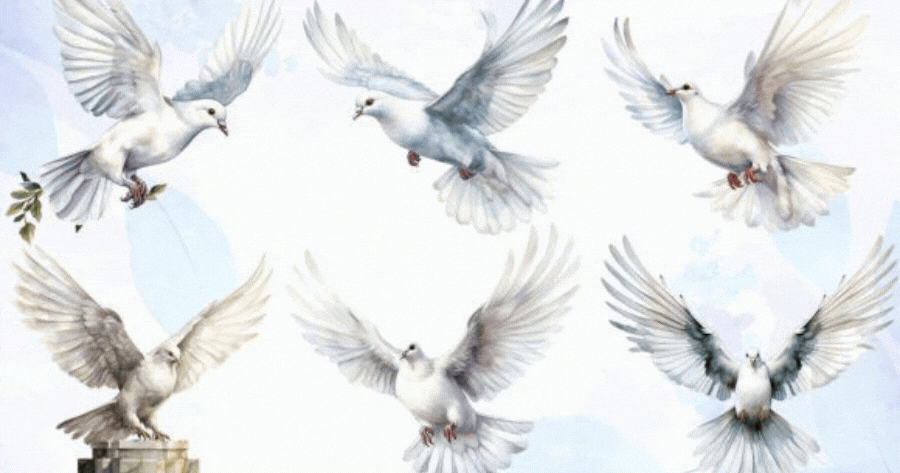 discover your message of love from Jesus
